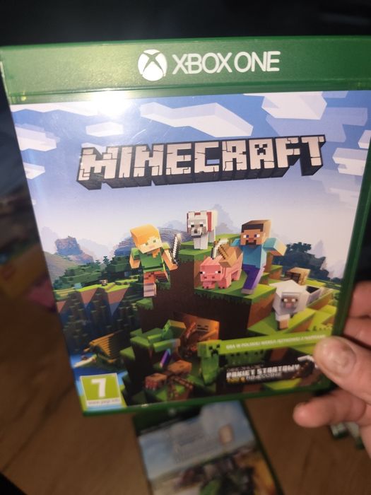 Minecraft PL Xbox one series x one s x