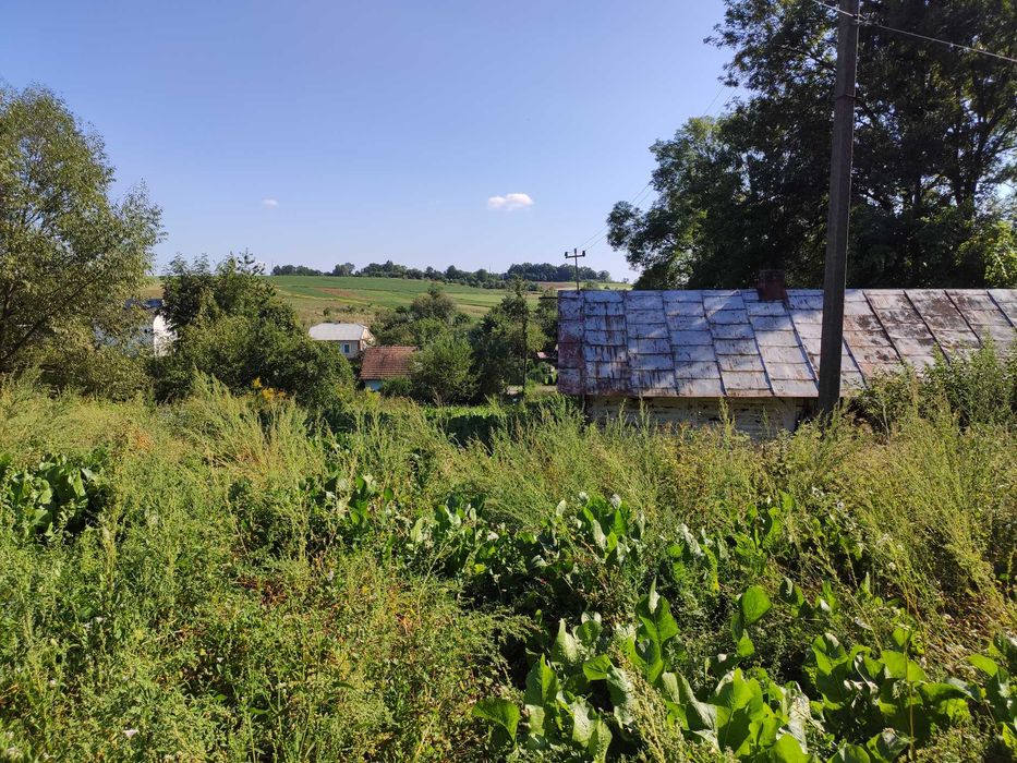 Земельна ділянка зі старим будинком с. Тамановичи