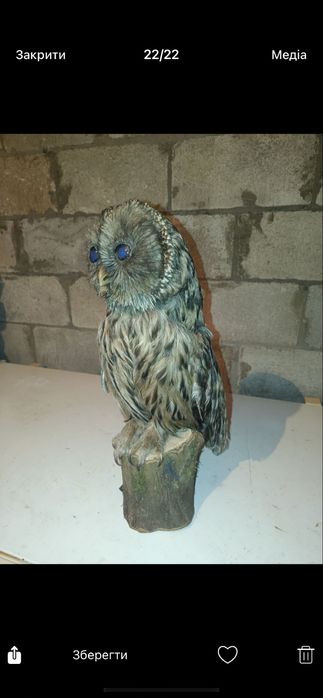Сова сувенір різні є