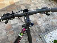 Rower KTM Penny Line