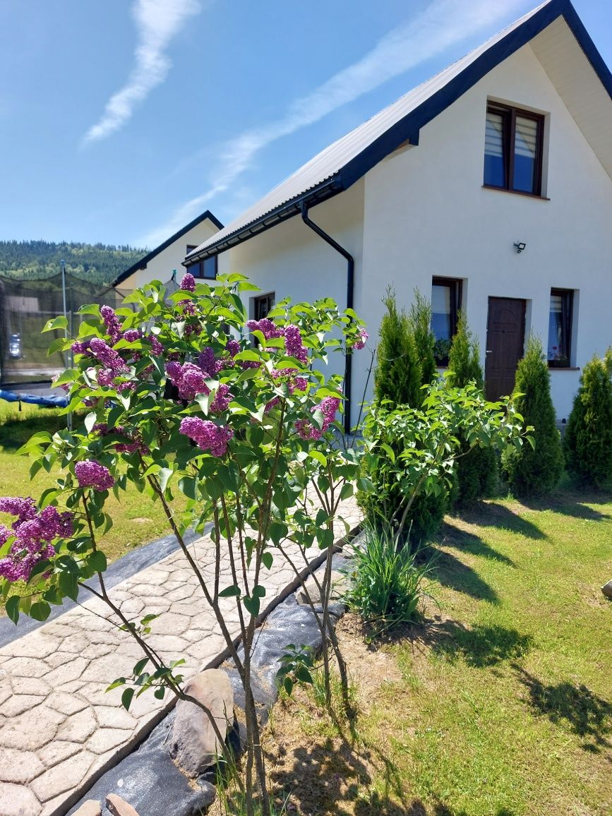 Domek pod Holicą Bieszczady w Bieszczadach