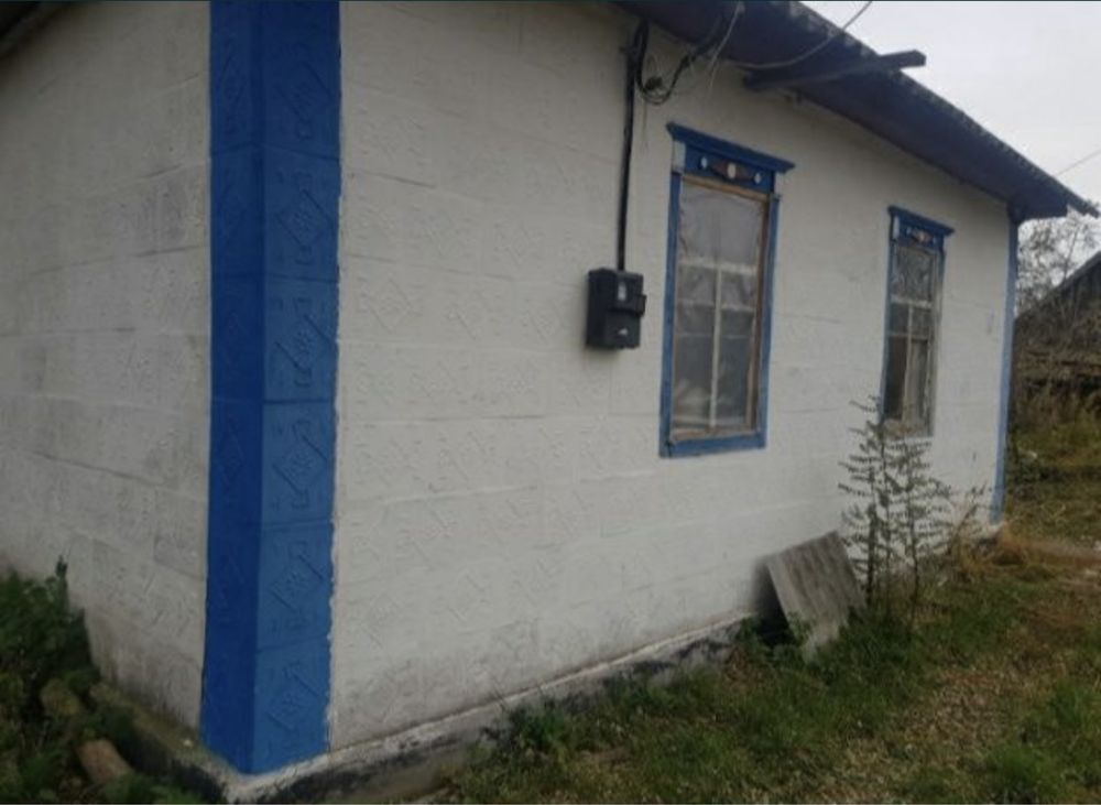 Будинок в селі з горою