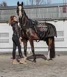 EQUINE KLOUD  PEMA (pole elektromagnetyczne)  Vet set niezbędny
