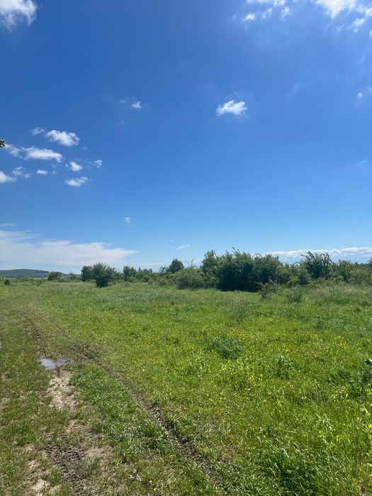 Земельна ділянка (пай)