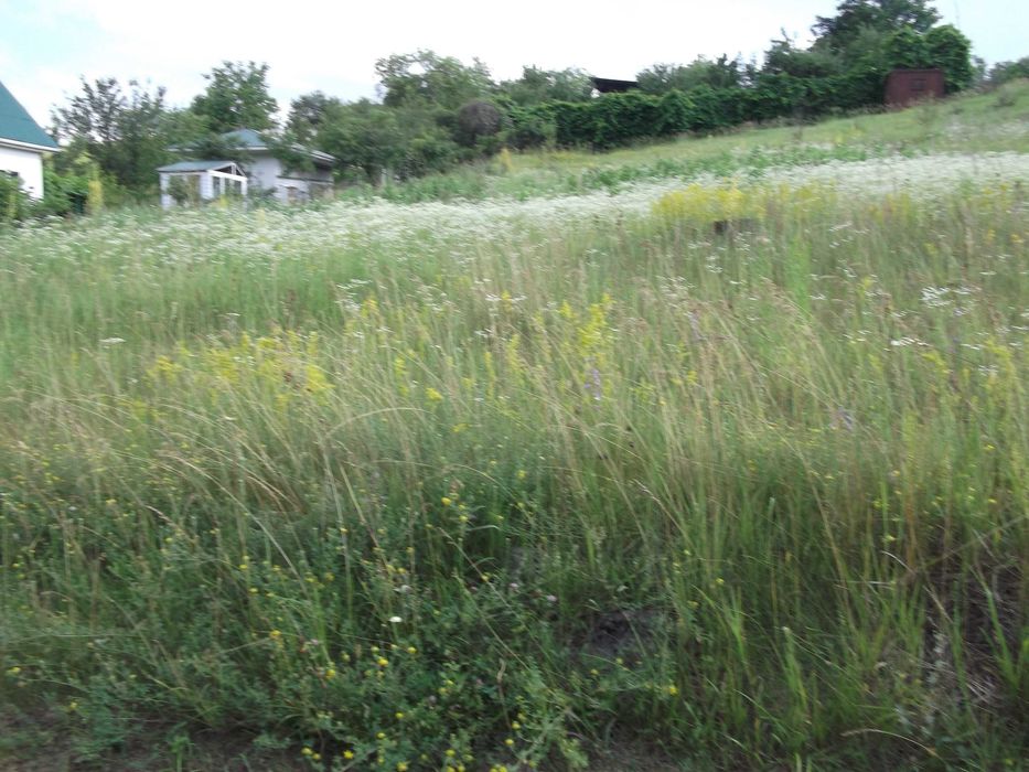 Ділянка в садівничому товаристві