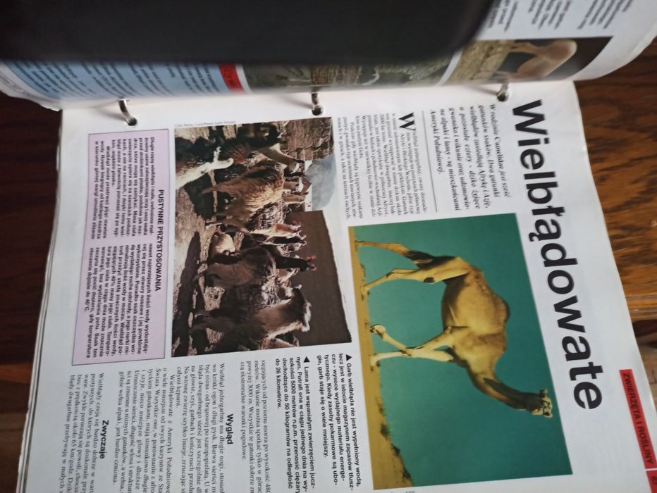 Świat wiedzy encyklopedia w segregatorach