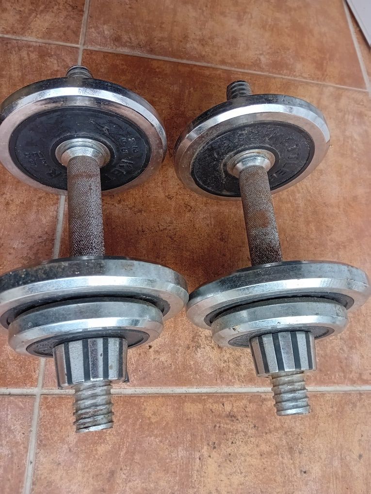 Halteres musculação de rosca