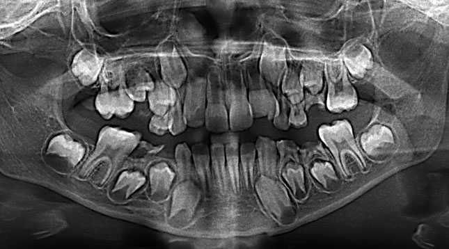 Ортодонт. Діти та дорослі: діагностика, планування, лікування