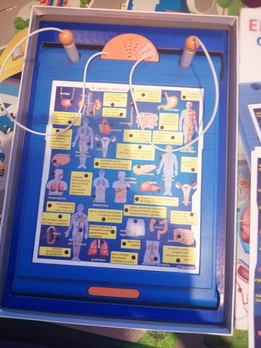 Jogo didático enciclopédia corpo humano e desporto.