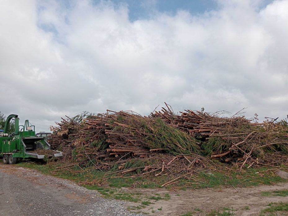 Wycinka drzew w zamian za material, czyszczenie dzialek
