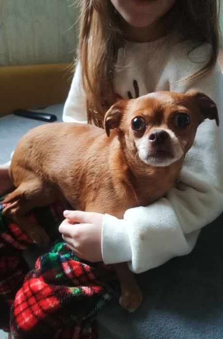 Прилаштовуємо пестка