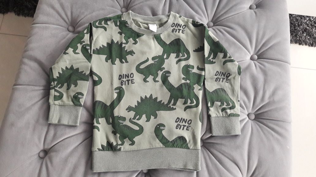 Bluza w dinozaury dla chlopca