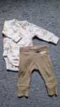 Komplet newbie 62 body misie legginsy prazkowane