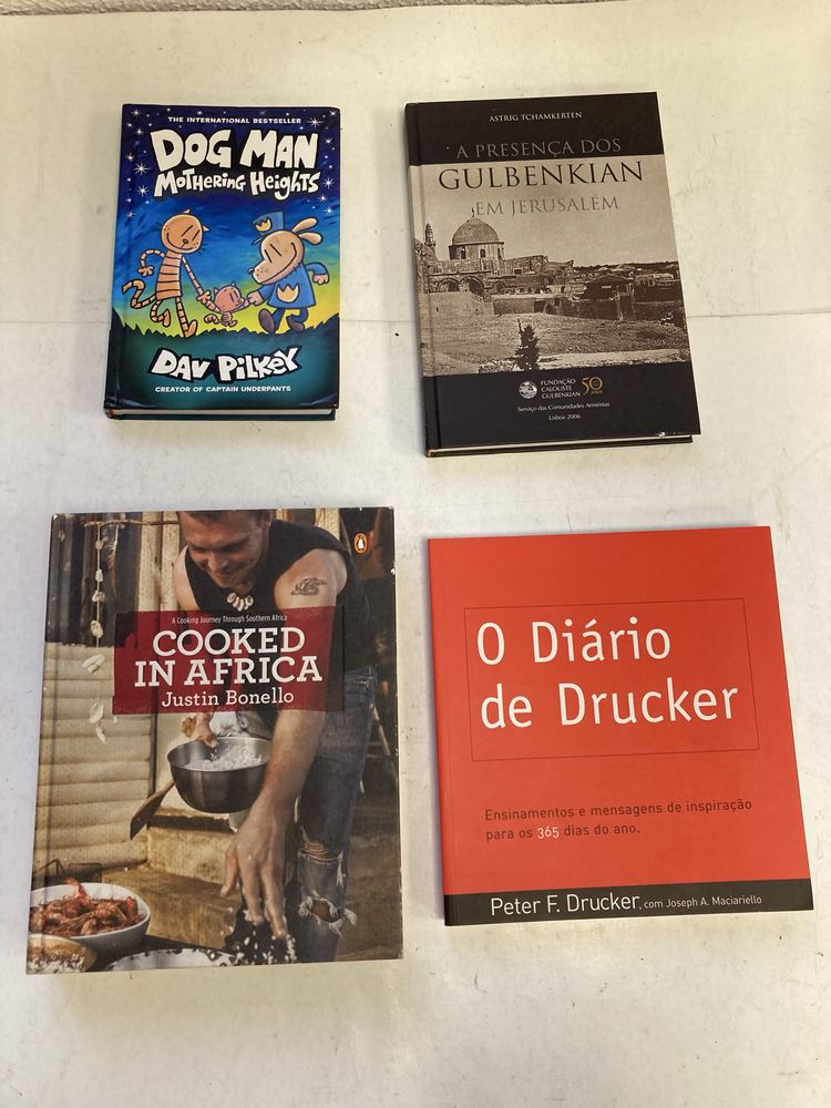 Livros, A Revolução do Algoritmo Mestre, de Pedro Domingos