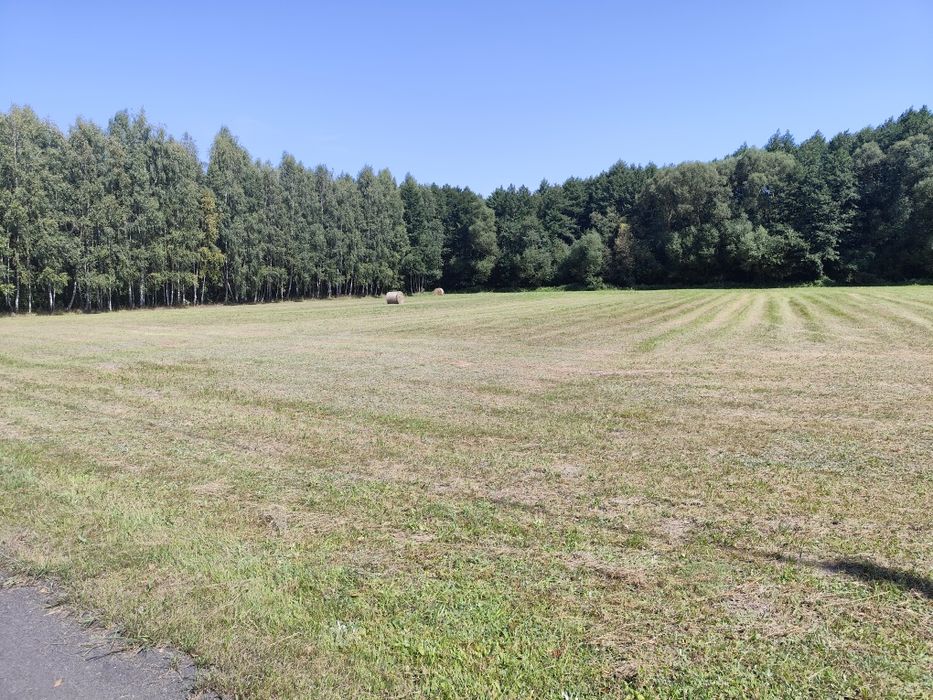 Działka budowlana 1ha  Malużyn