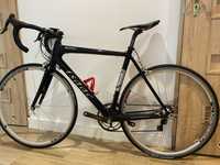 Isaac Sonic - rower szosowy, carbon, Campagnolo Record. 6,6 KG