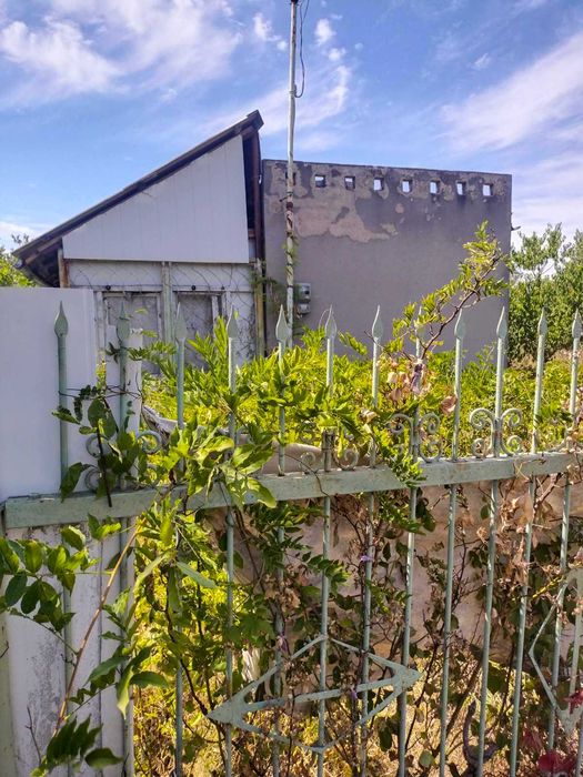 Домик в Светлом, Новые дачи!