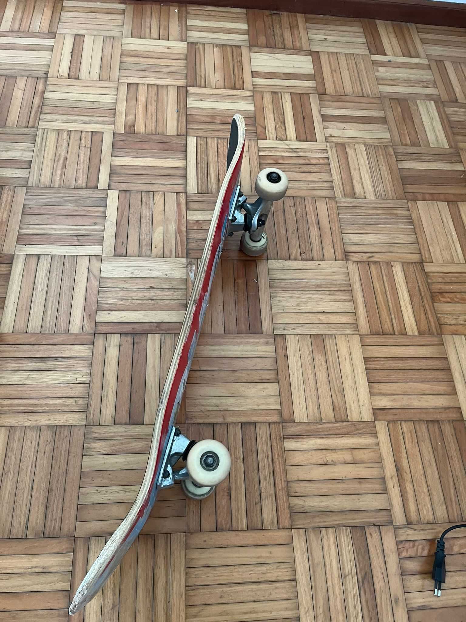 Skate Birdhouse usado
