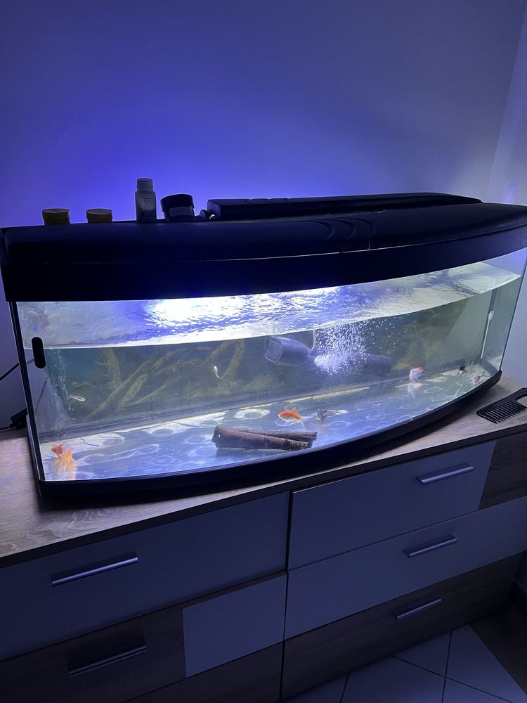 Aquario 200 litros
