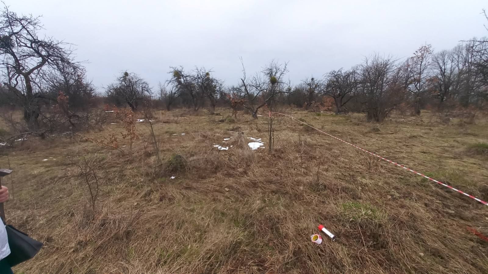 Земельна ділянка в НОВОМУ МАСИВІ с. Світин, Житомирська об.