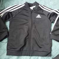 Bluza Adidas 12-18 m