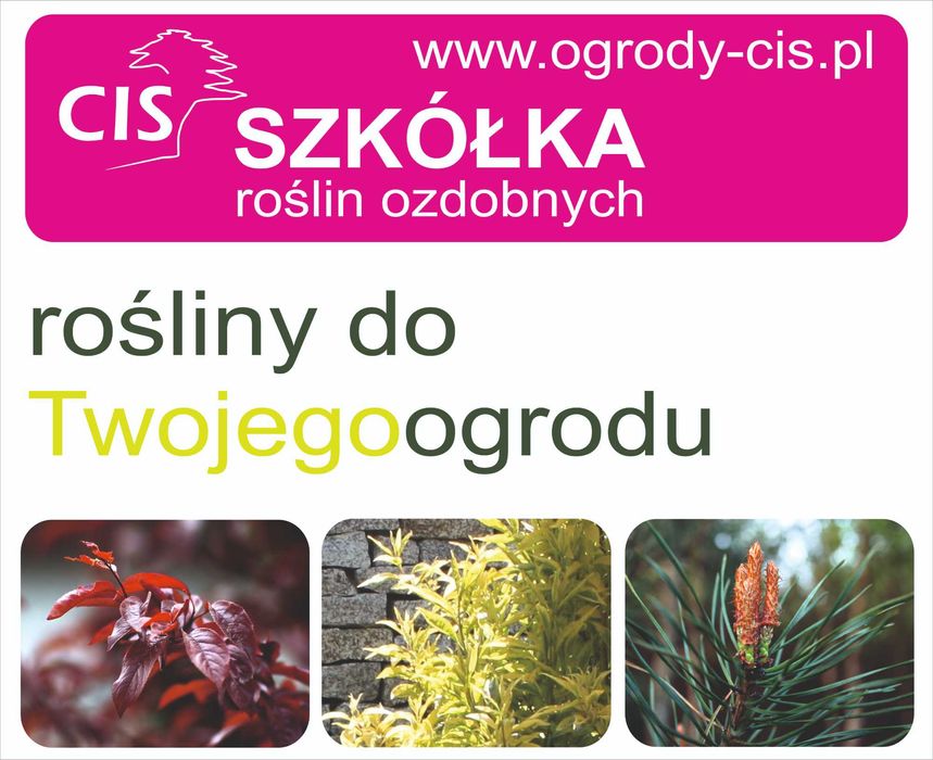 Rośliny Ozdobne do Ogrodu, Szkółka Roślin, Drzewa, Krzewy, Żywopłot