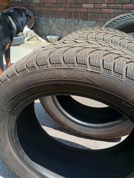 Продам ,Debica,205,55,R16