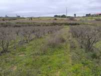 Terreno 8400m2,  com ruina granito, Catrão, Vale de Prazeres
