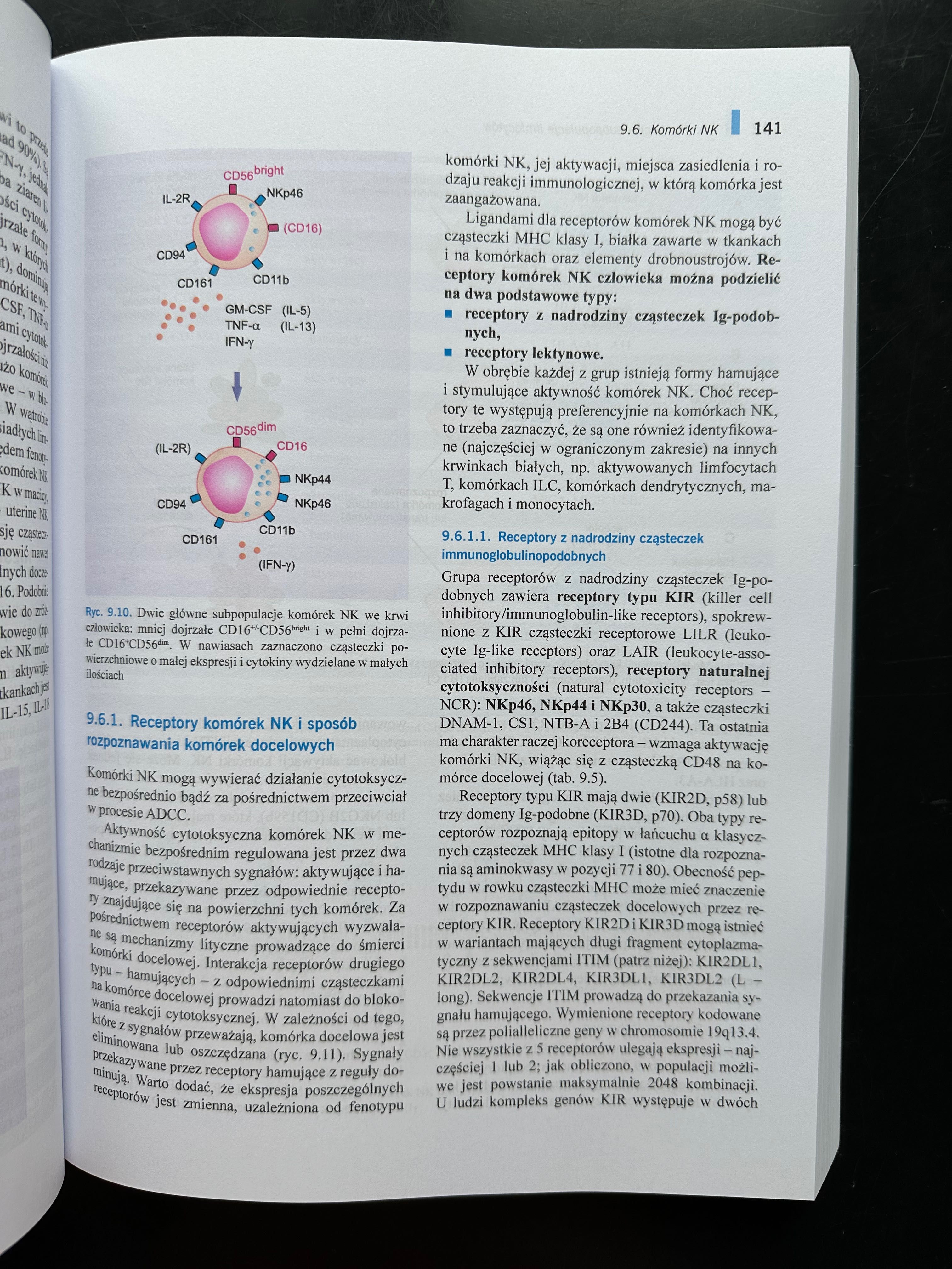 Immunologia Gołąb