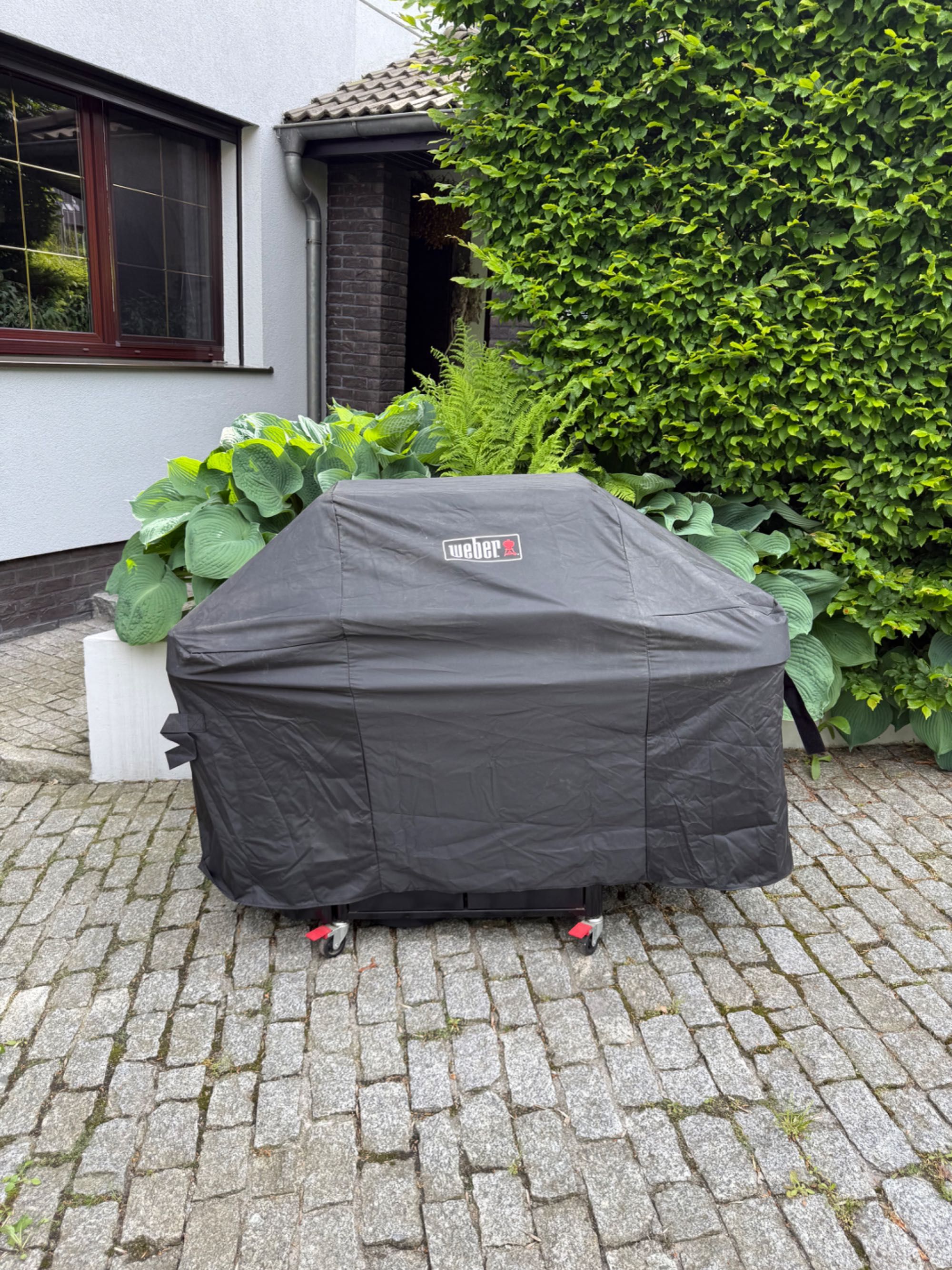 Weber Genesis EX-335