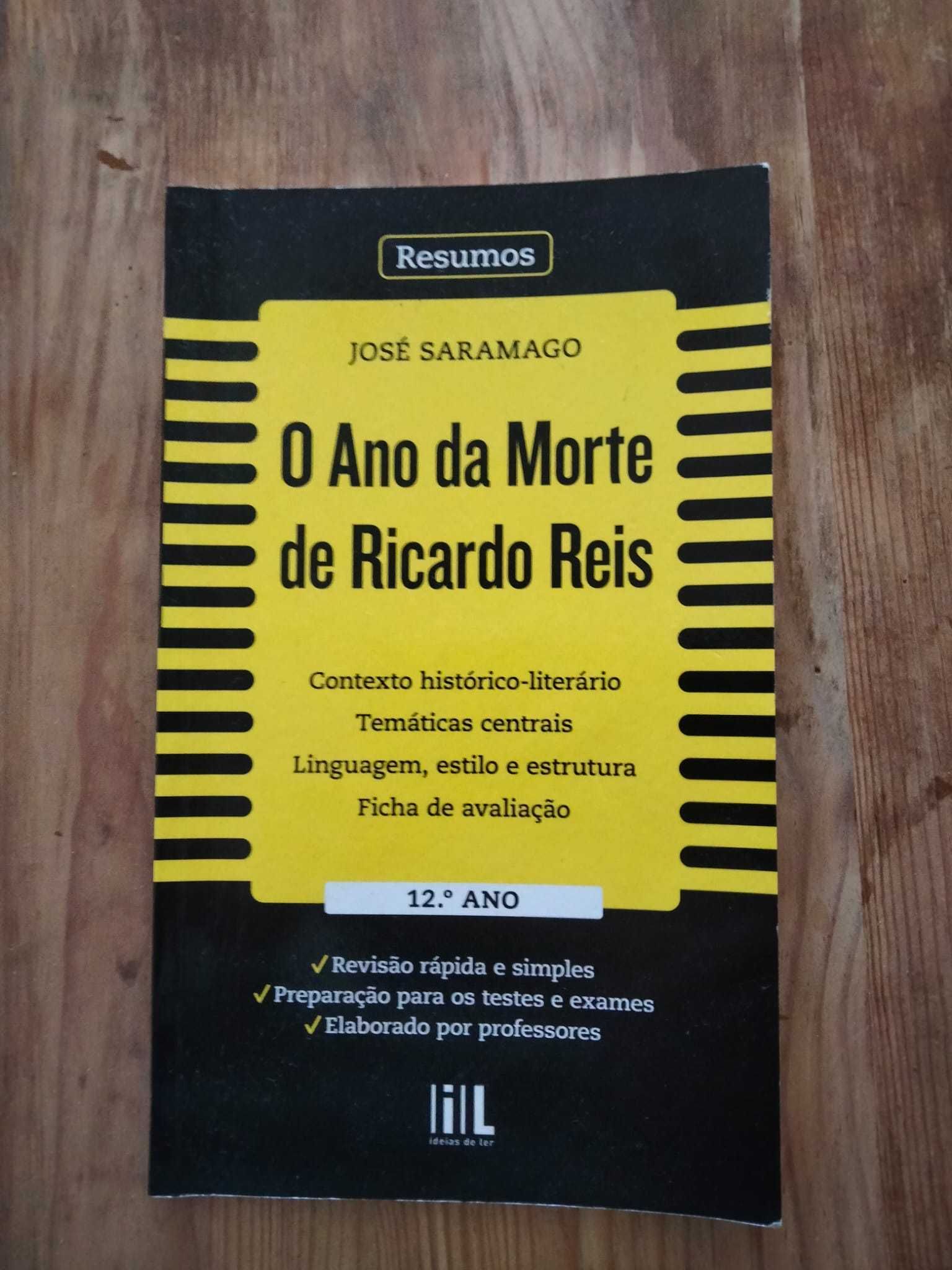 Livro de Resumos da obra "O ano da morte de Ricardo Reis