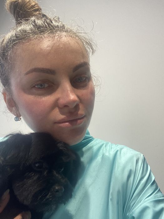 Стрижка собак і котиків