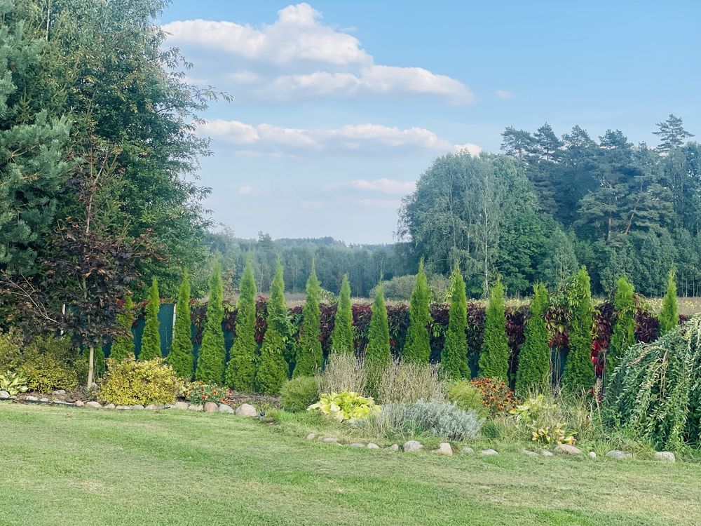 DoMeK z ogromną działką bez sasiadów , wolne terminy