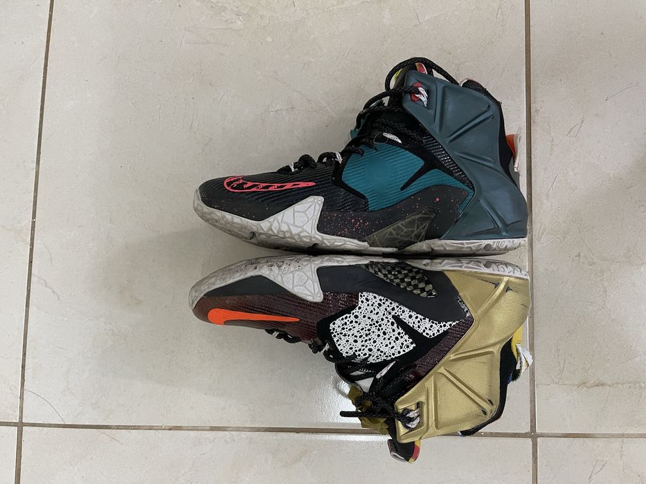 Nike Lebron 12 SE What The