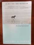 Michael A. Singer - The untethered soul