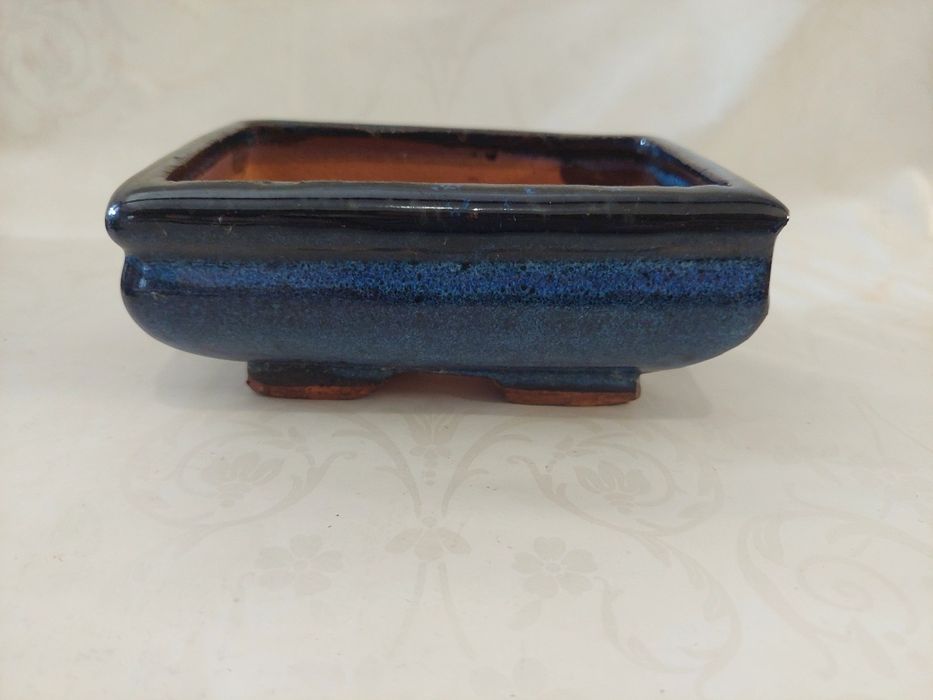 Vasos de bonsai e placas