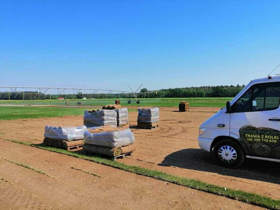 Trawa  z  rolki , gęsta - efekt natychmiastowy