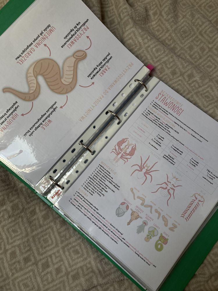 maturalne notatki biologia biologia rozszerzona matura