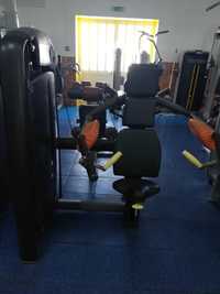 Máquina de musculação technogym