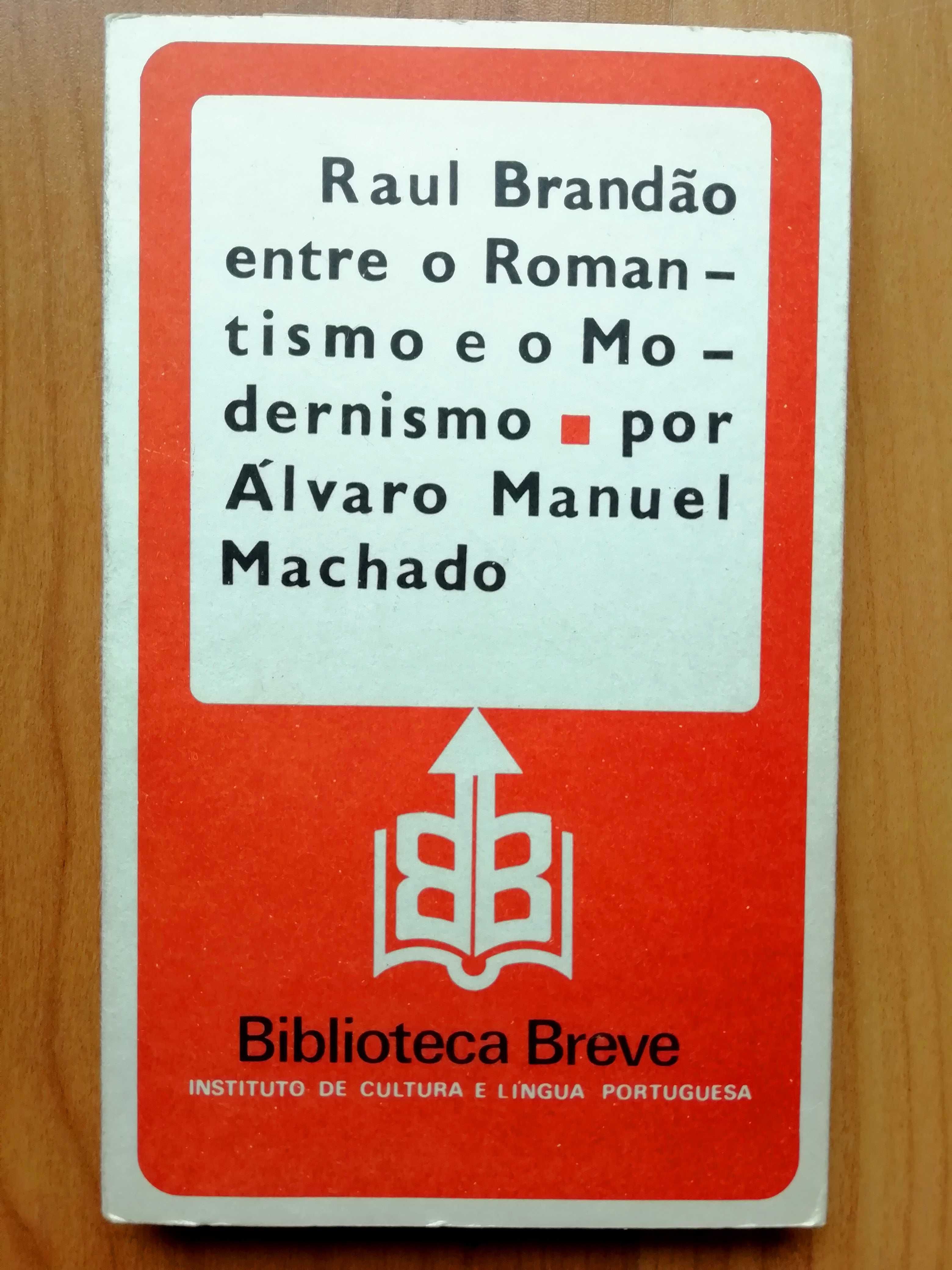 Raul Brandão entre o Romantismo e o Modernismo - Álvaro Manuel Machado