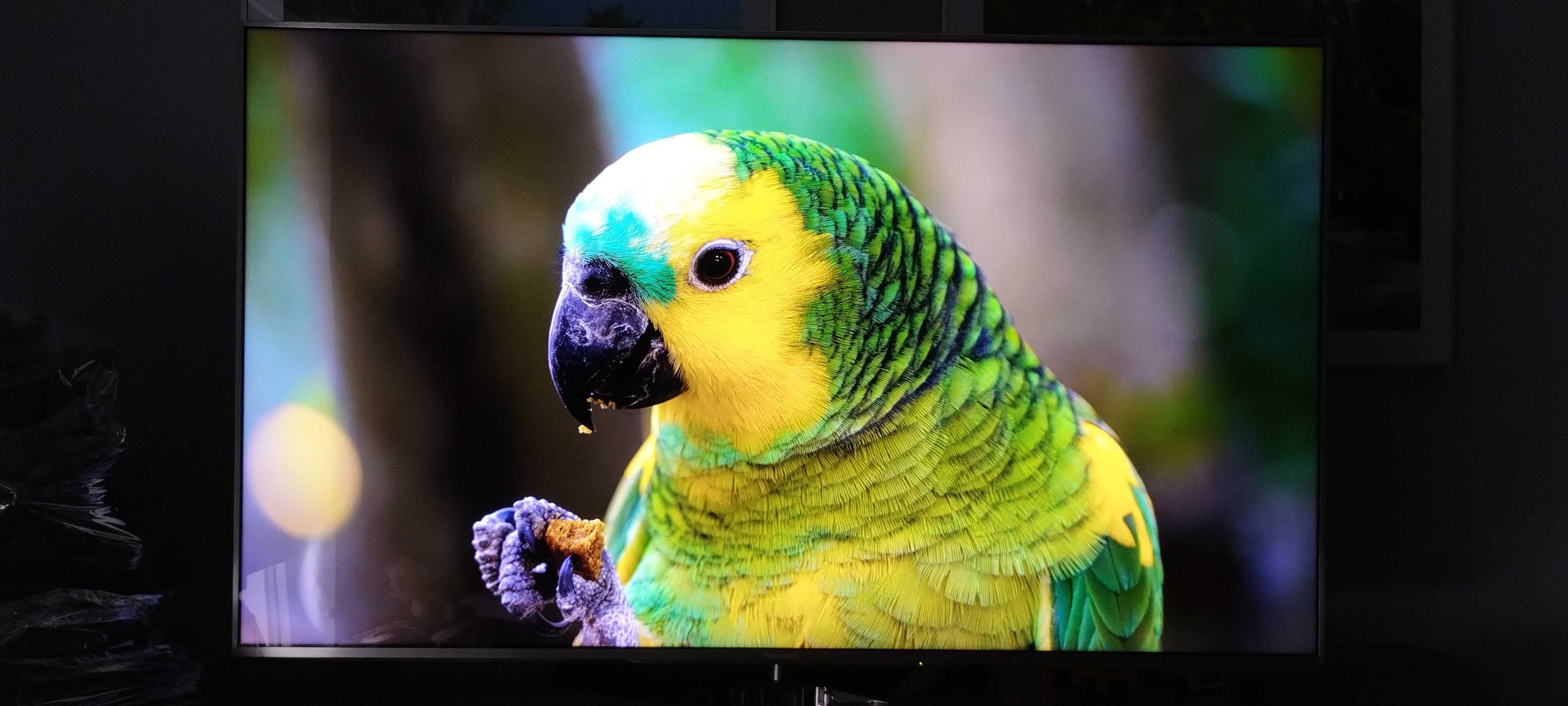 TV LED 3D 4 K Panasonic TX-58EX780E