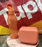 Regresso á escola com a tupperware