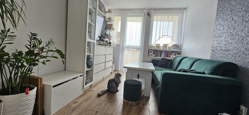 Mieszkanie 2 pokoje Przylesie