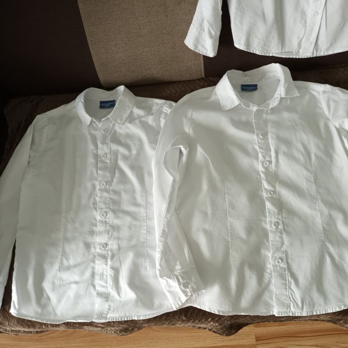 Koszule cocodrillo 140