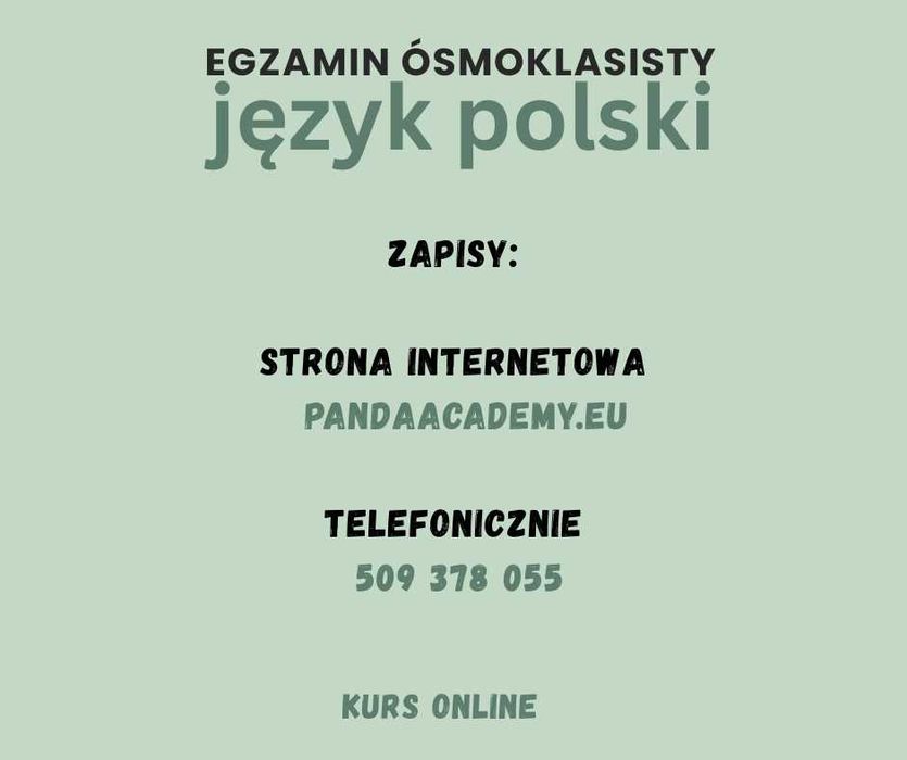 Korepetycje język polski egzamin ósmoklasisty online