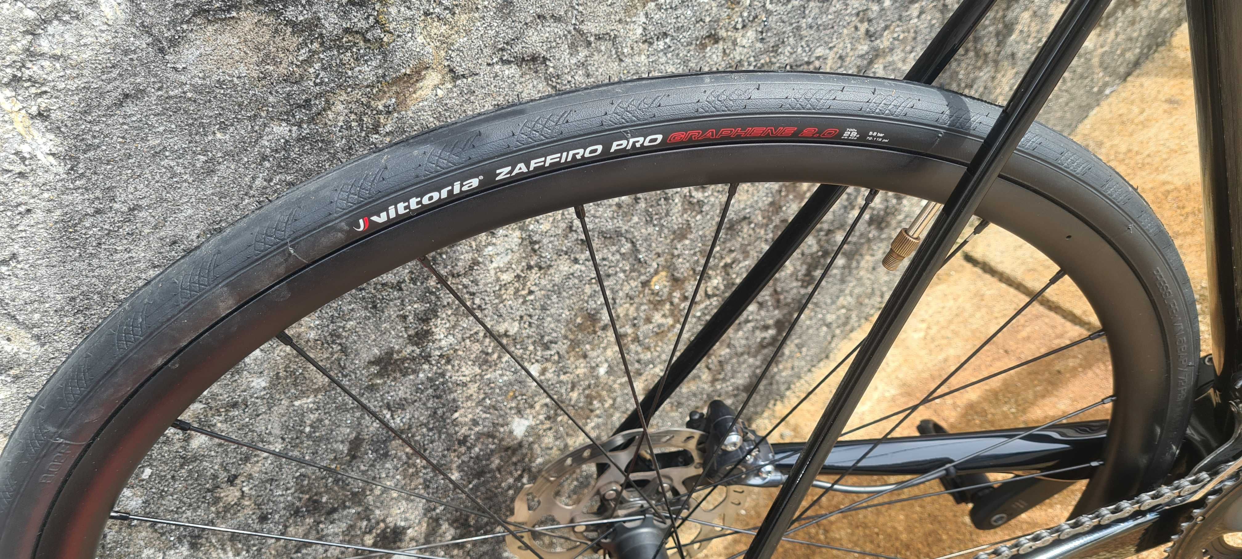 Coluer invicta disc