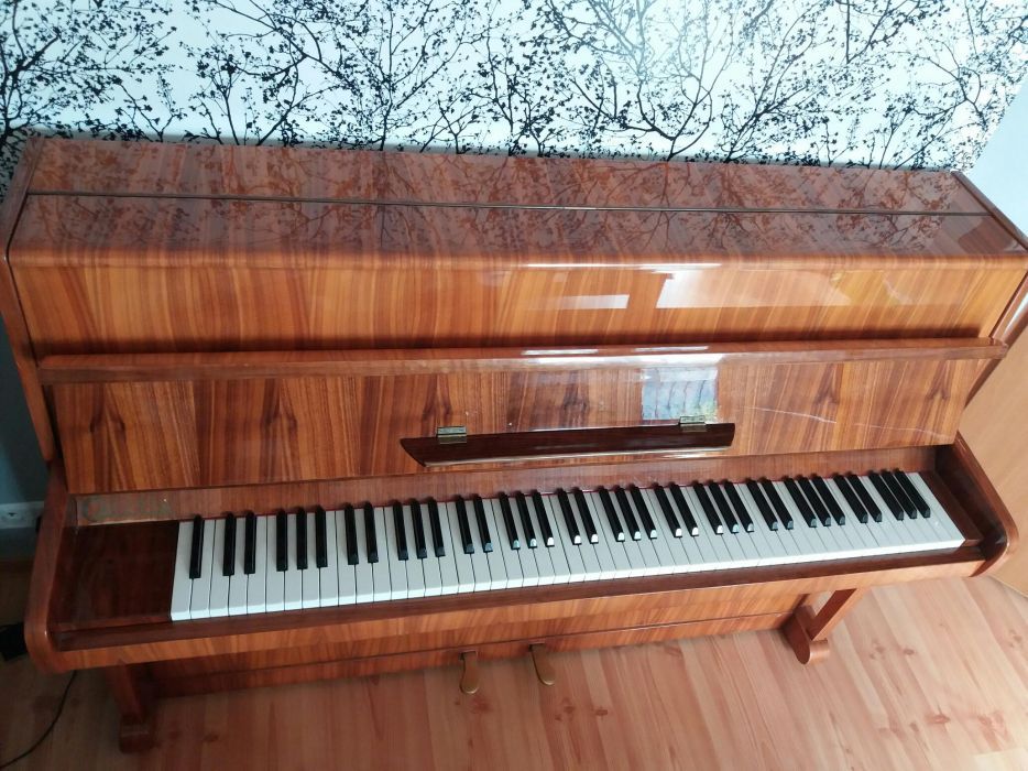 Pianino Calisia M-105