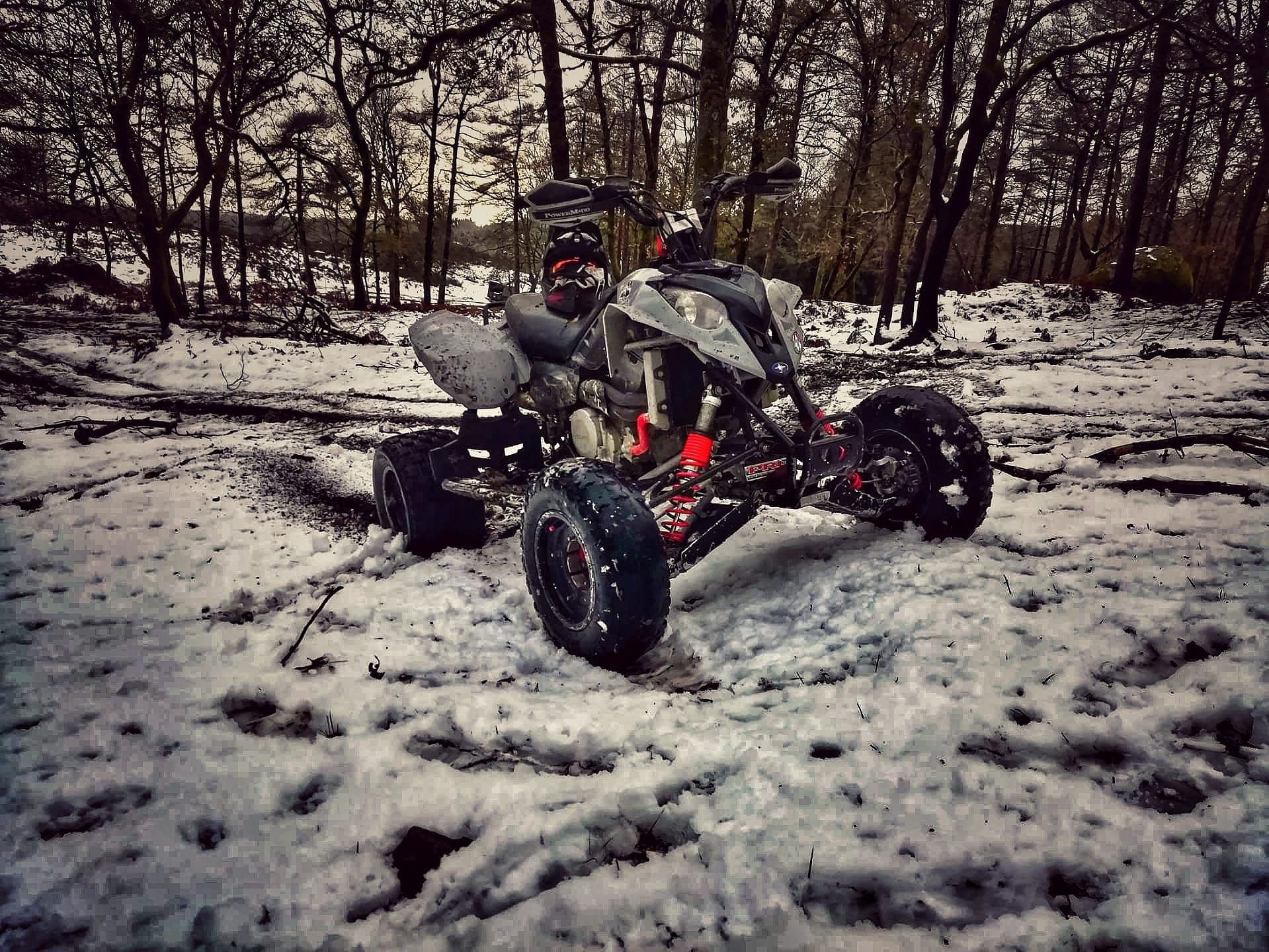 Polaris predator 500