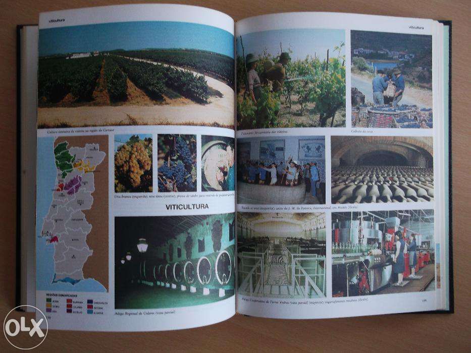Lexicóteca - Moderna Enciclopédia Universal (20 Volumes)