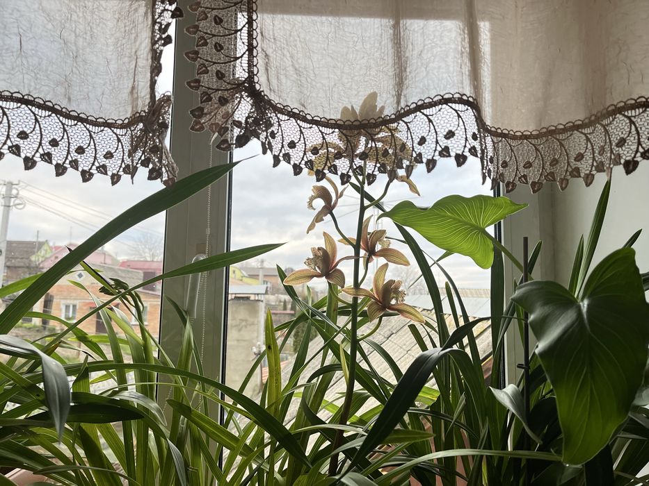 Будинок в районі Електромережі в оренду